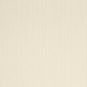 Parchment